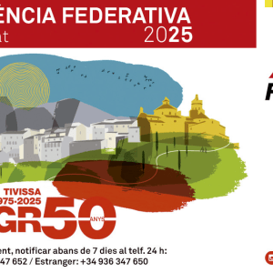 Llicència FEEC