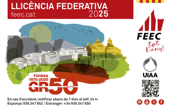 Llicència FEEC